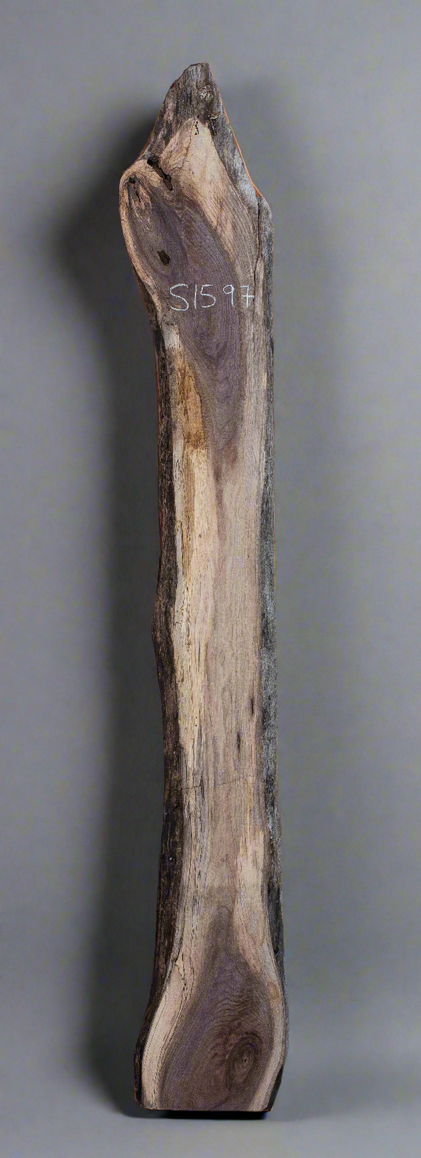 Black Walnut Live Edge Slab - S1597