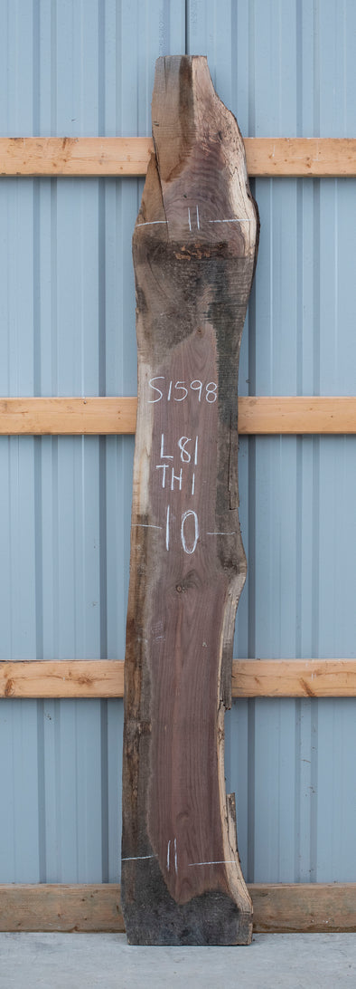 Black Walnut - S1598