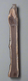 Black Walnut Live Edge Slab - S1598