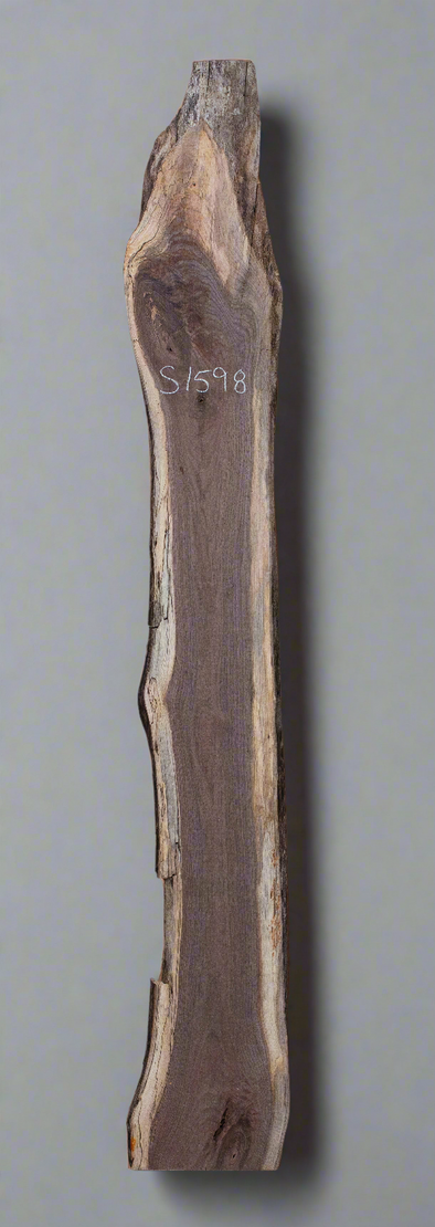 Black Walnut Live Edge Slab - S1598