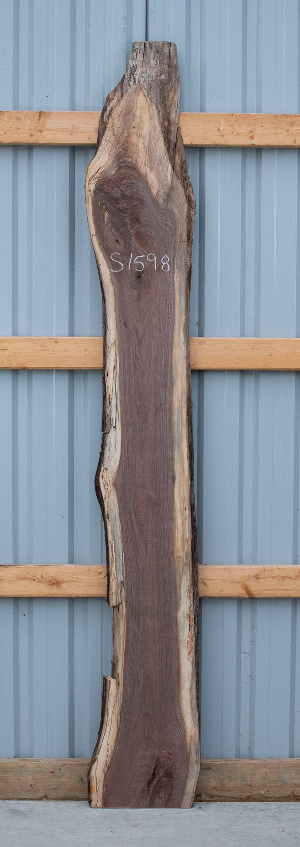 Black Walnut Live Edge Slab - S1598