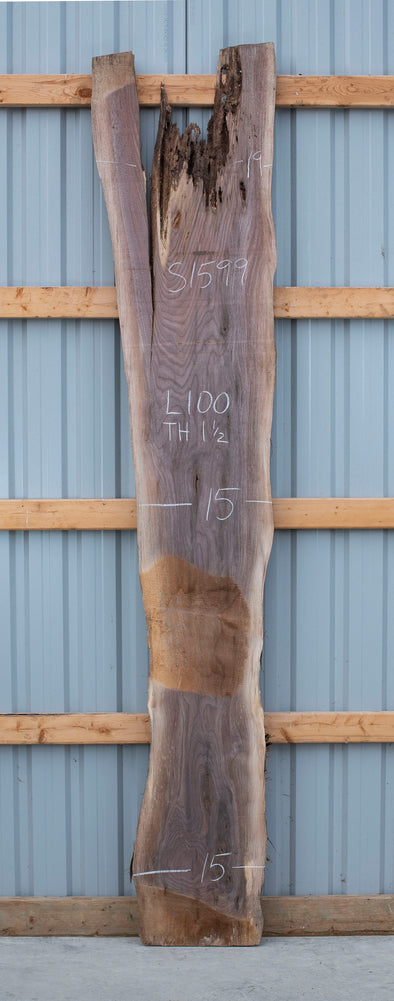 Black Walnut - S1599
