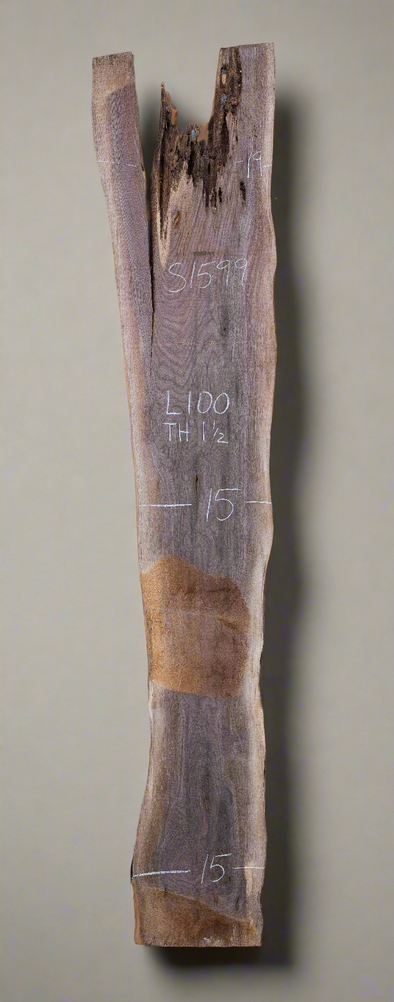 Black Walnut - S1599