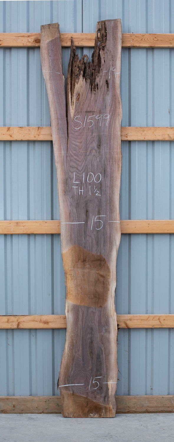 Black Walnut - S1599
