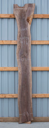 Black Walnut - S1600