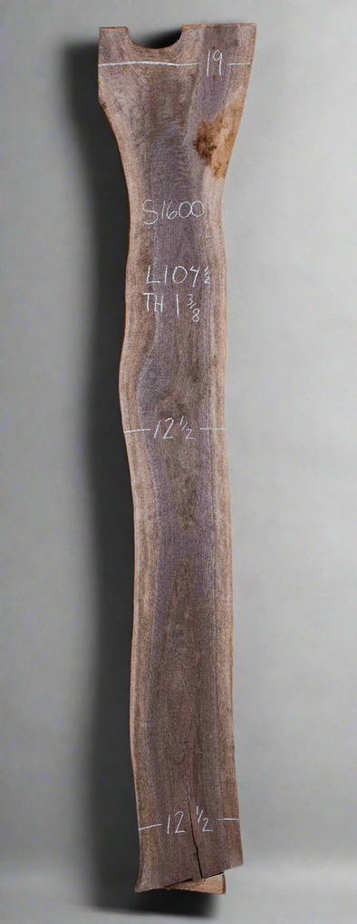 Black Walnut - S1600