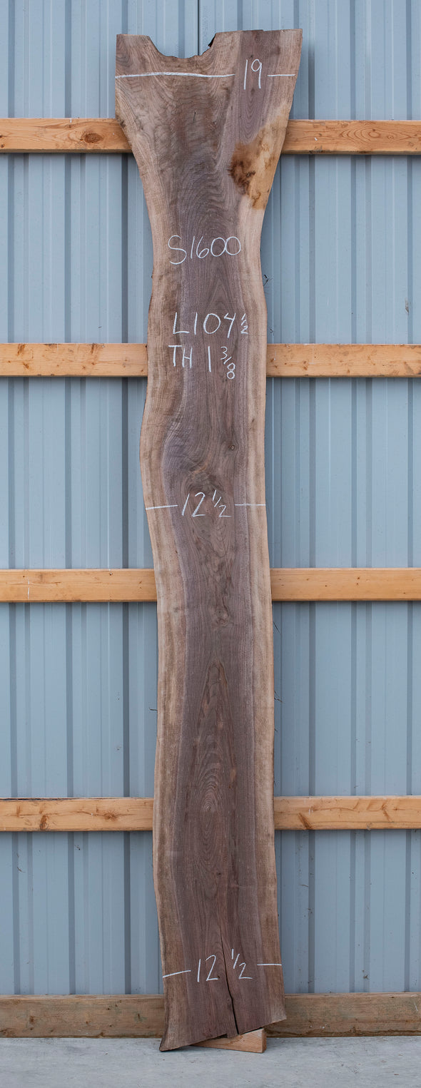 Black Walnut - S1600