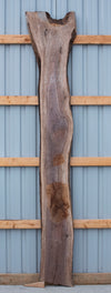 Black Walnut - S1600