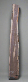 Black Walnut - S1603