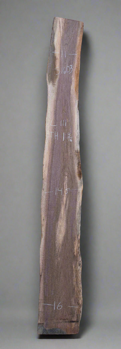 Black Walnut - S1603