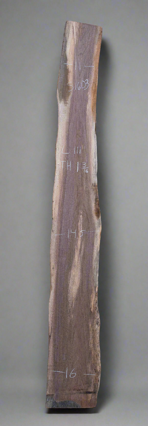 Black Walnut - S1603