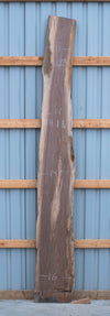Black Walnut - S1603