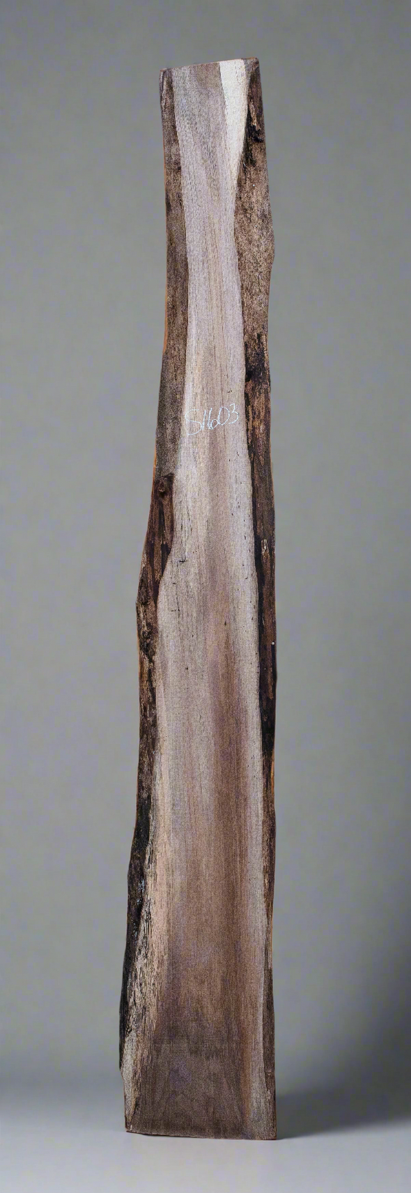 Black Walnut - S1603