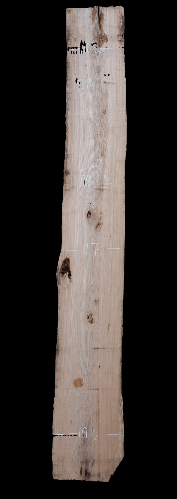 Ash - S1605