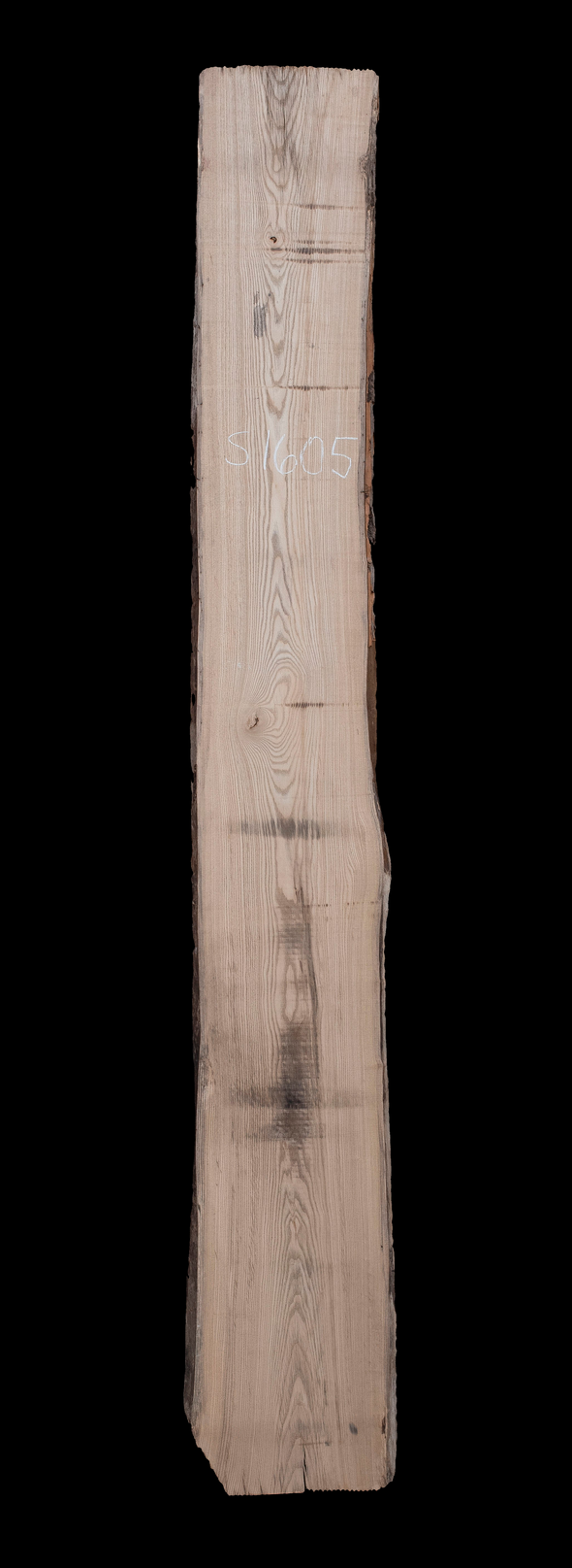 Ash - S1605
