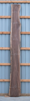 Black Walnut - S1606