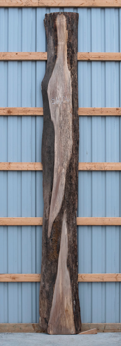 Black Walnut - S1606