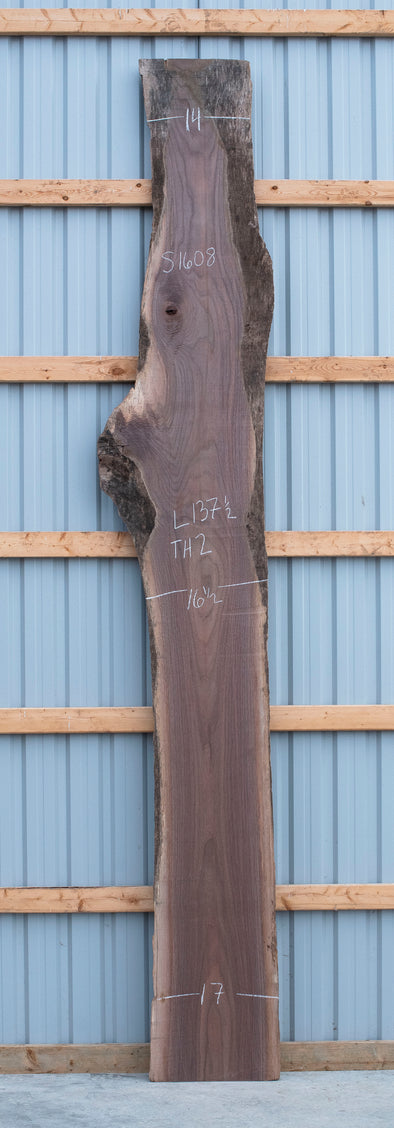 Black Walnut - S1608