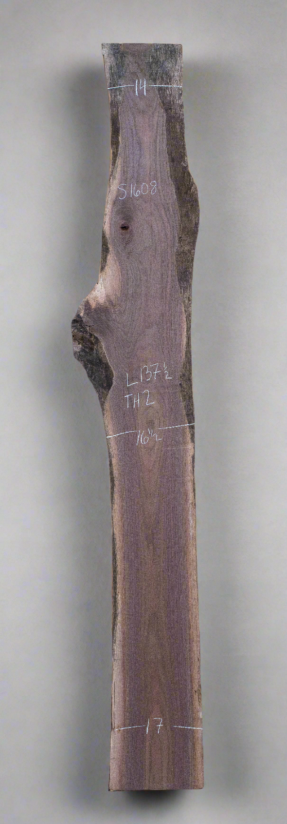Black Walnut - S1608