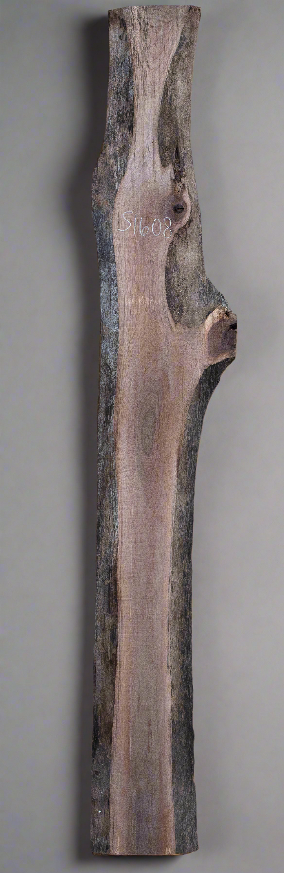 Black Walnut - S1608