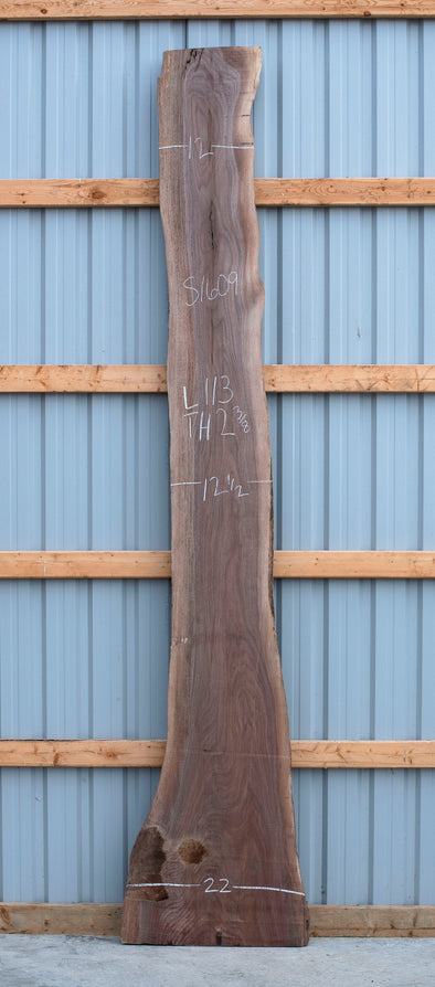 Black Walnut - S1609