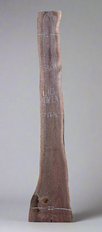 Black Walnut - S1609