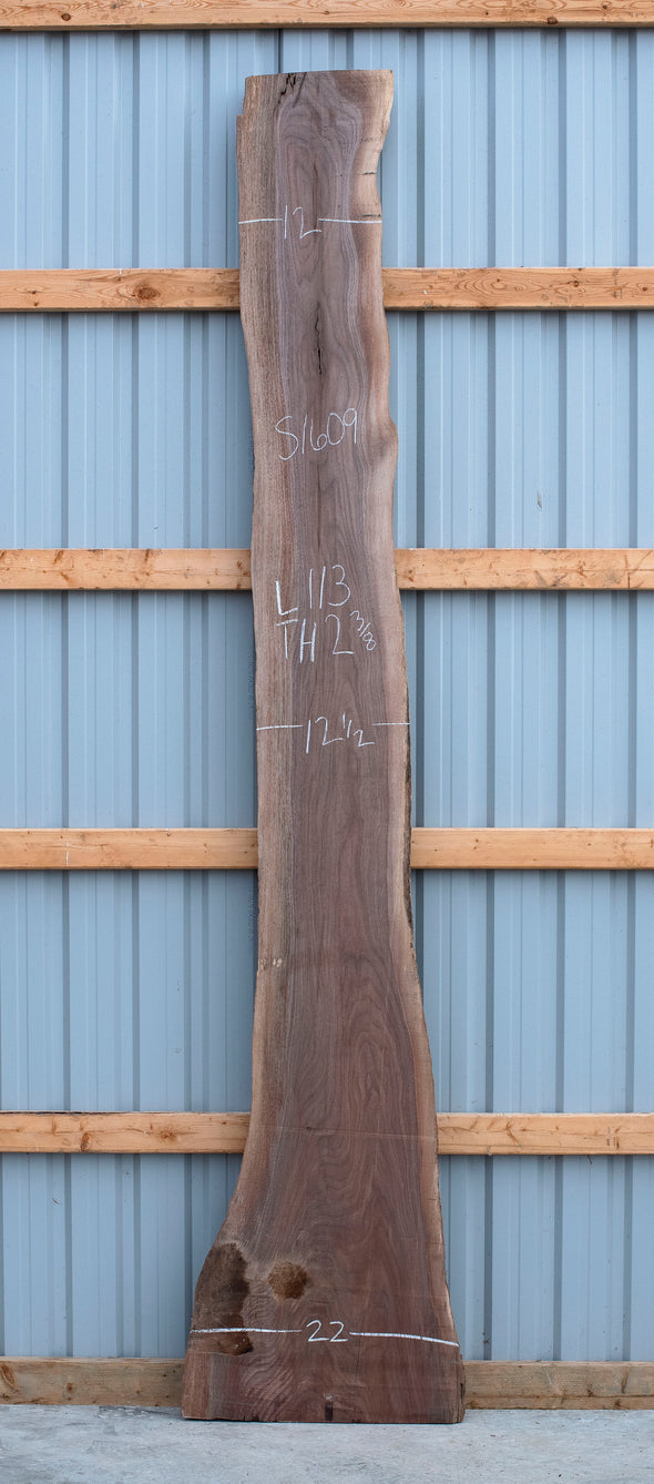 Black Walnut - S1609