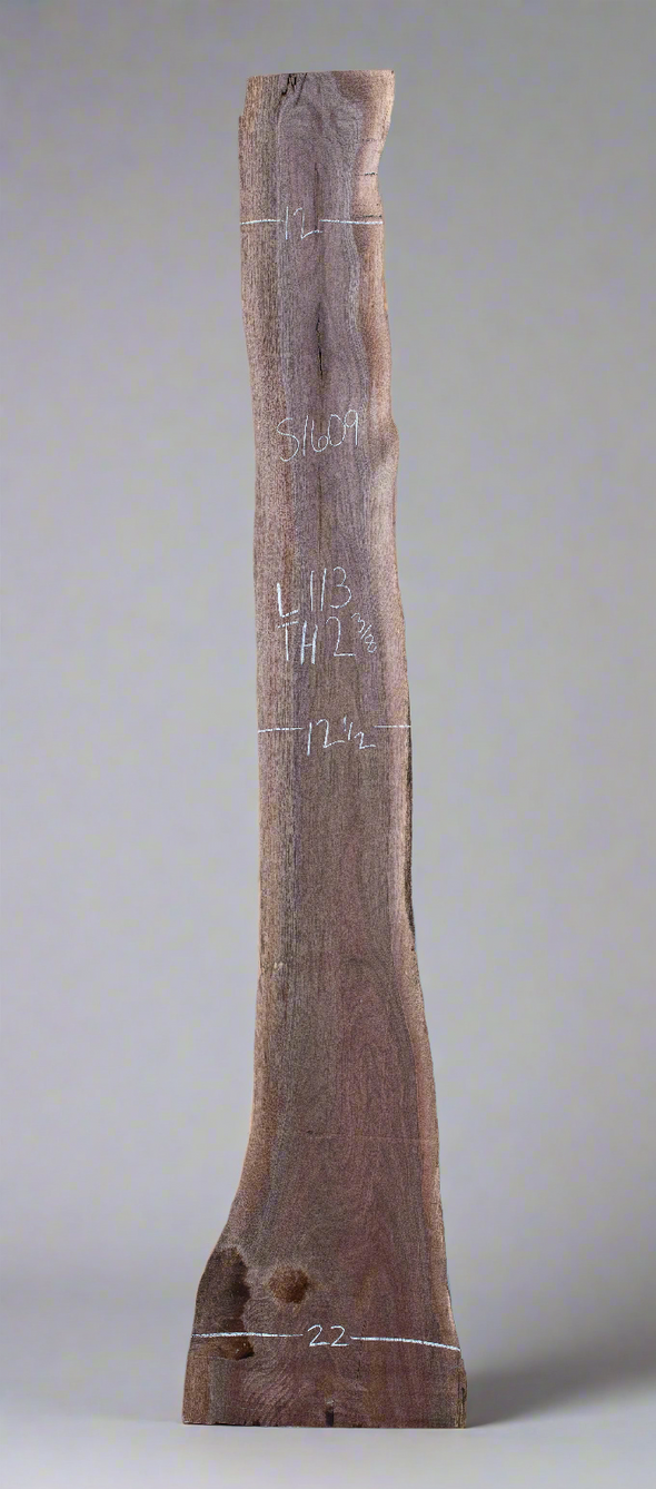 Black Walnut - S1609