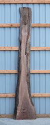 Black Walnut - S1609
