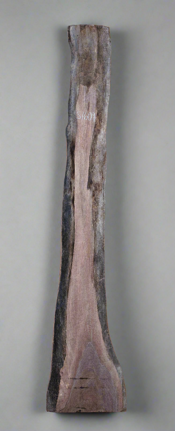 Black Walnut - S1609