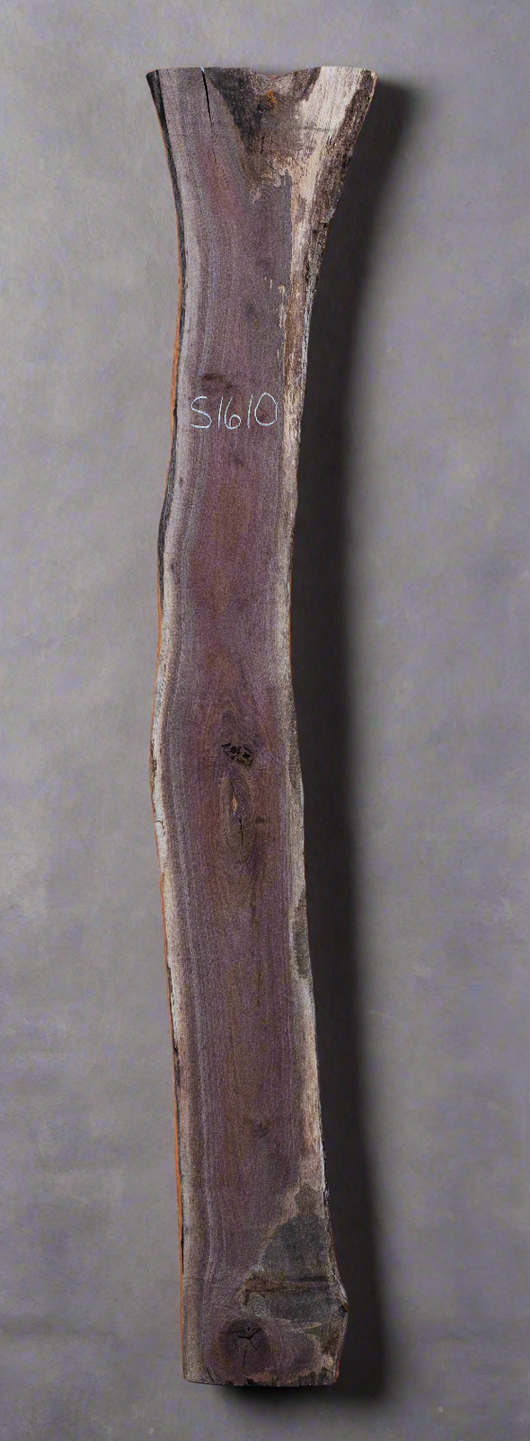 Black Walnut - S1610