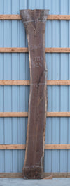 Black Walnut - S1610
