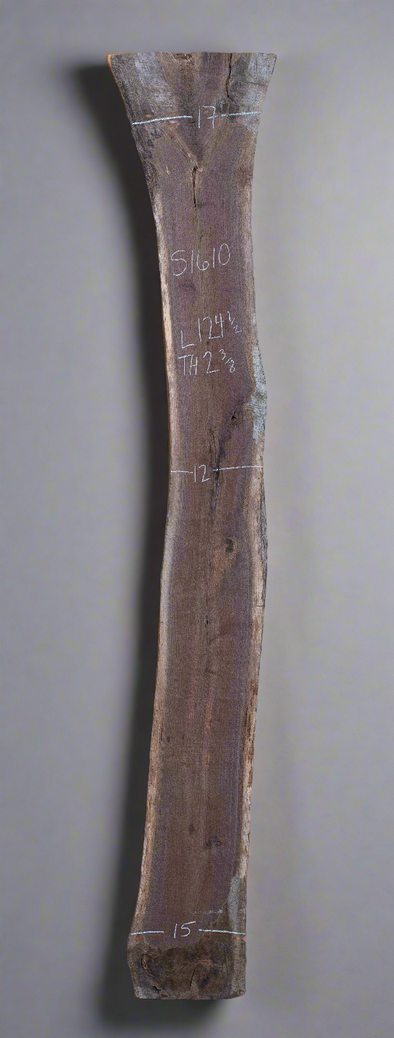 Black Walnut - S1610