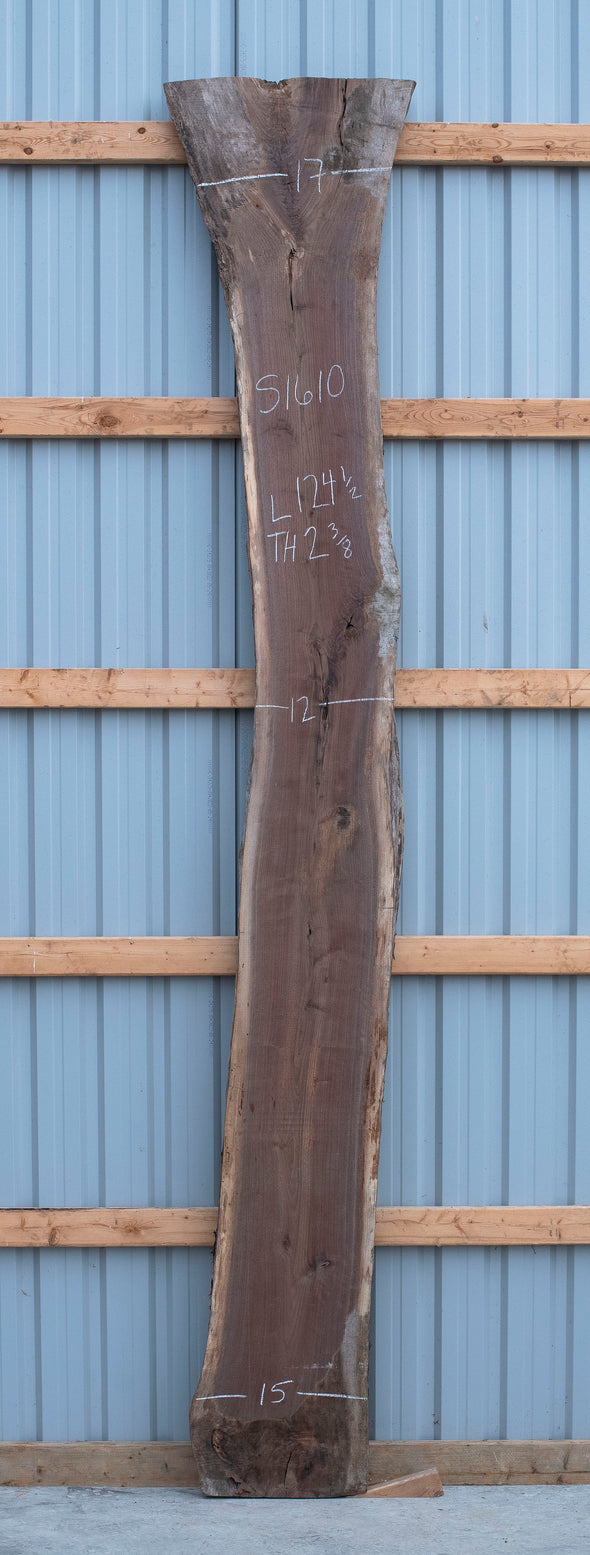 Black Walnut - S1610