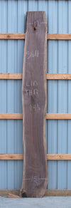 Black Walnut - S1611