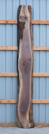 Black Walnut - S1611