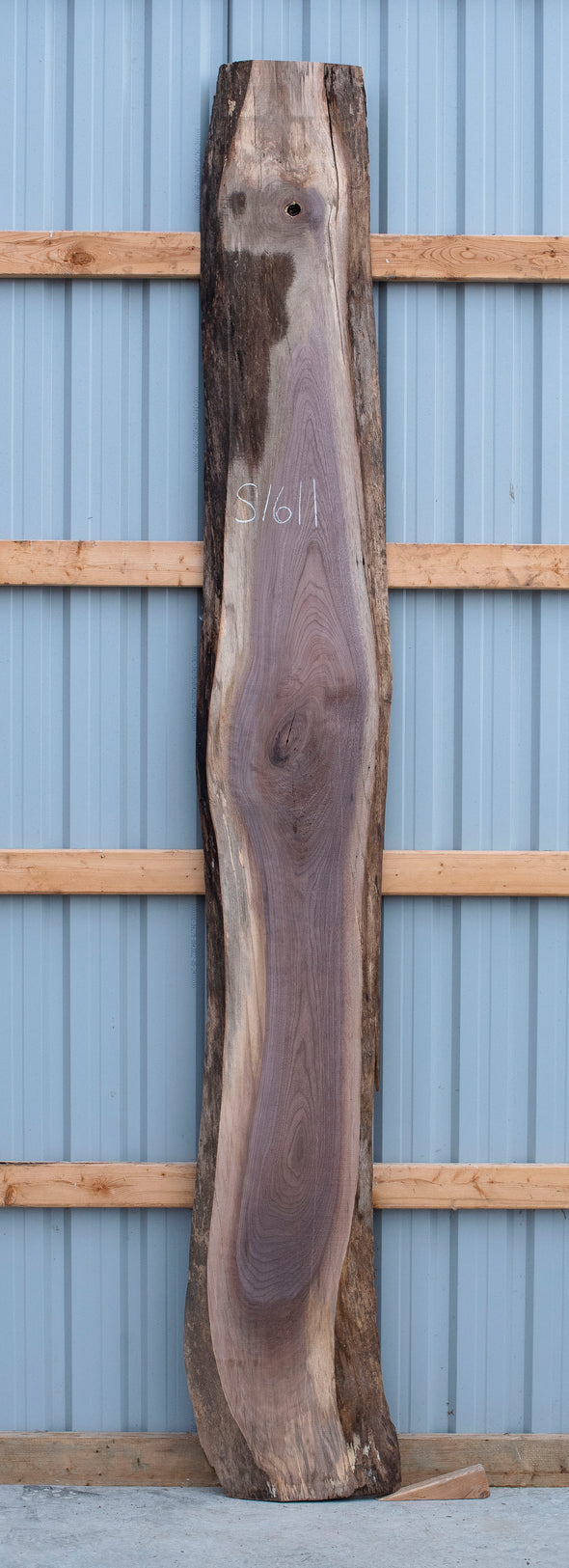 Black Walnut - S1611