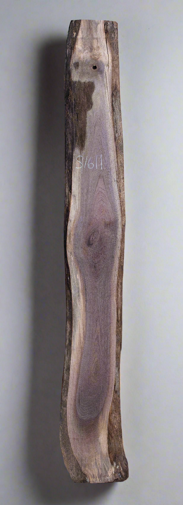 Black Walnut - S1611
