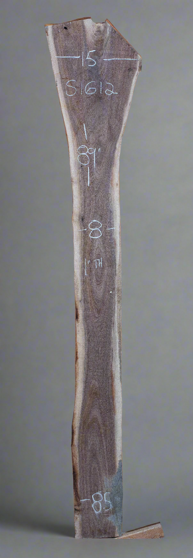 Black Walnut Live Edge Slab - S1612