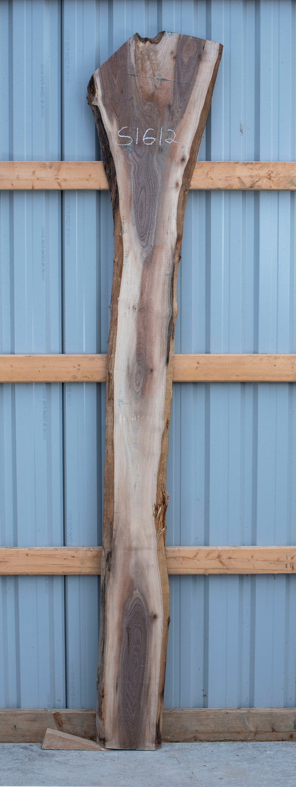 Black Walnut Live Edge Slab - S1612