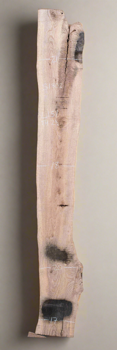 Ash - S1802