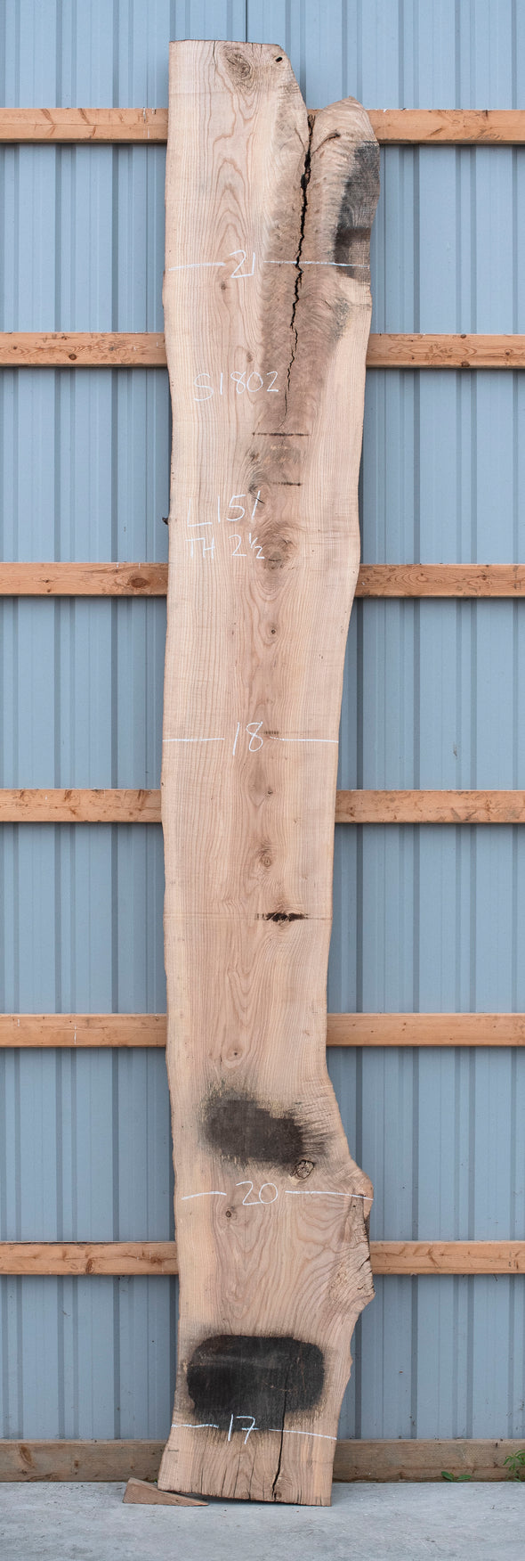 Ash - S1802
