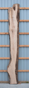Ash - S1802