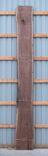 Black Walnut - S1803