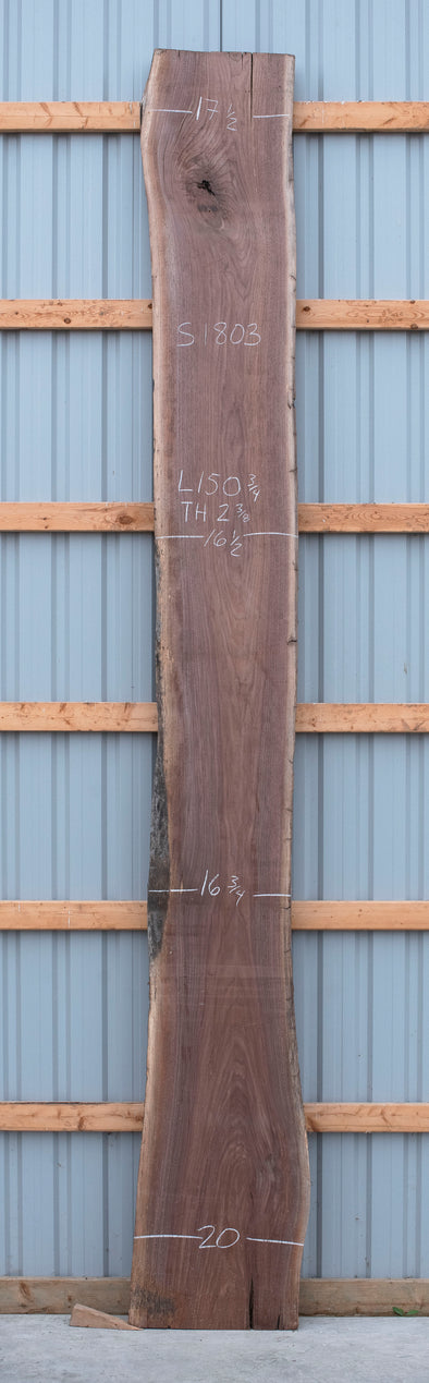Black Walnut - S1803