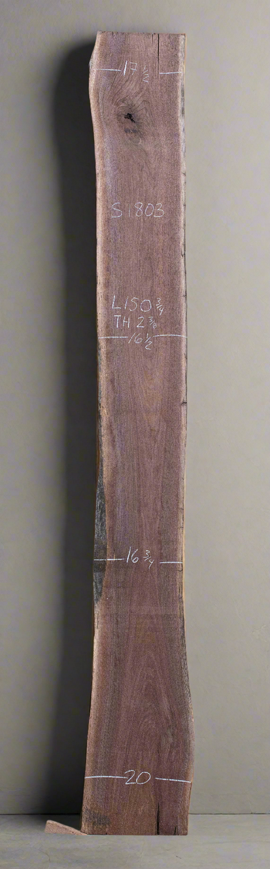Black Walnut - S1803