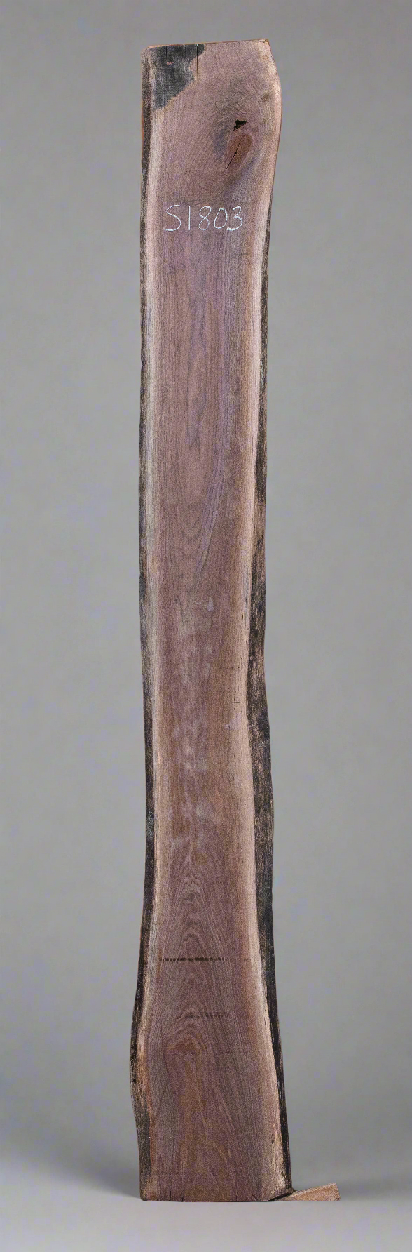 Black Walnut - S1803