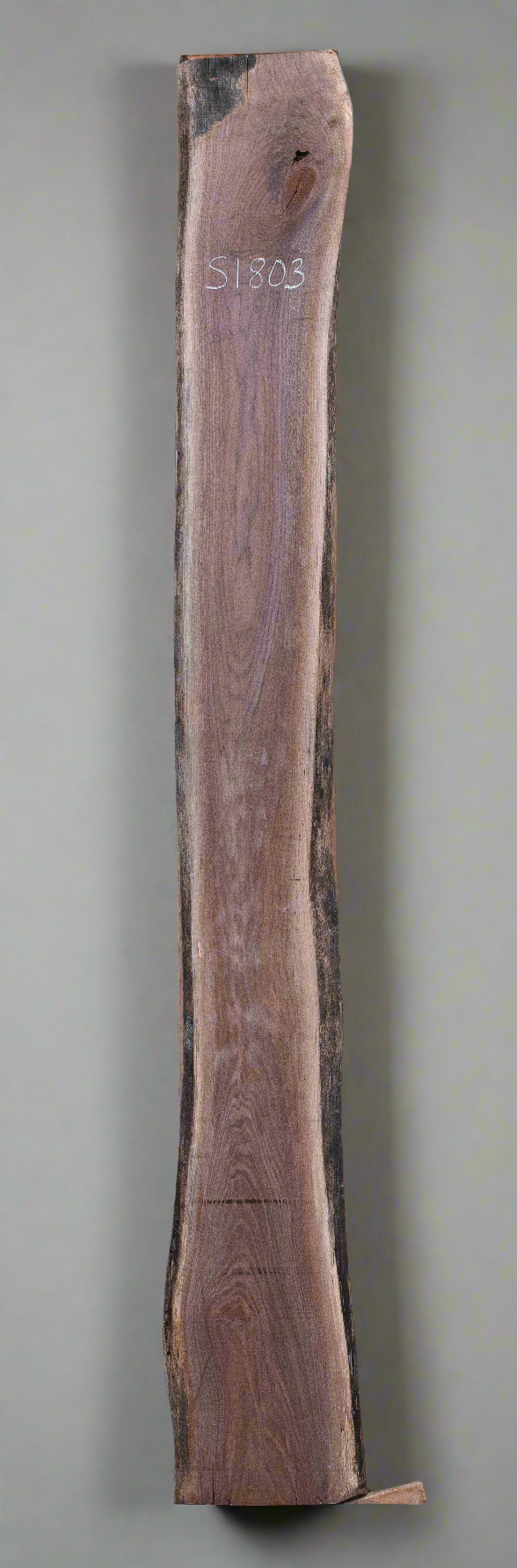 Black Walnut - S1803