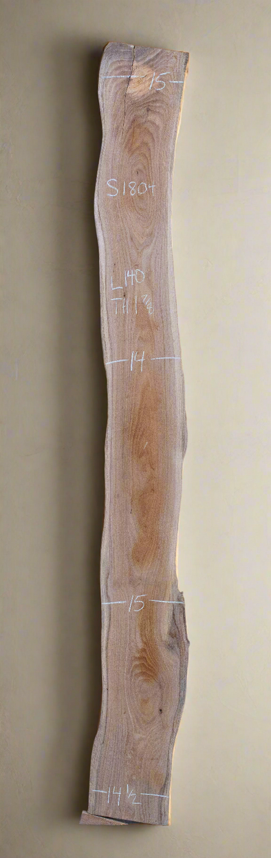Elm - S1804