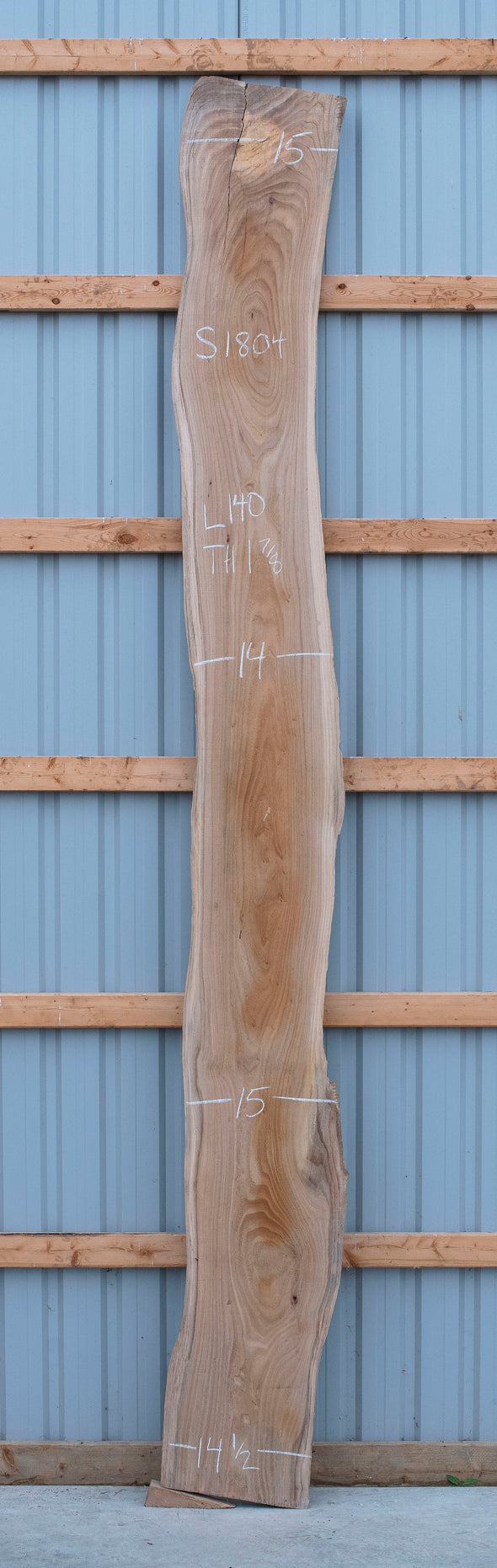 Elm - S1804